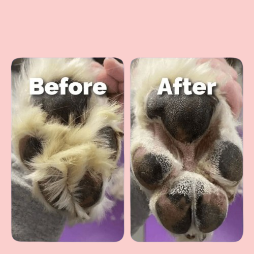 PawGroom™ Pet Groomer