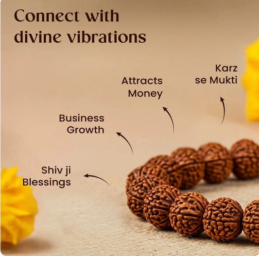 7 Mukhi Auspicious Rudraksha Bracelet