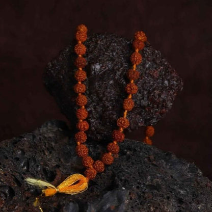 Authentic 108 Beads Rudraksha Mala
