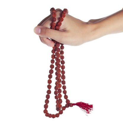 Authentic 108 Beads Rudraksha Mala